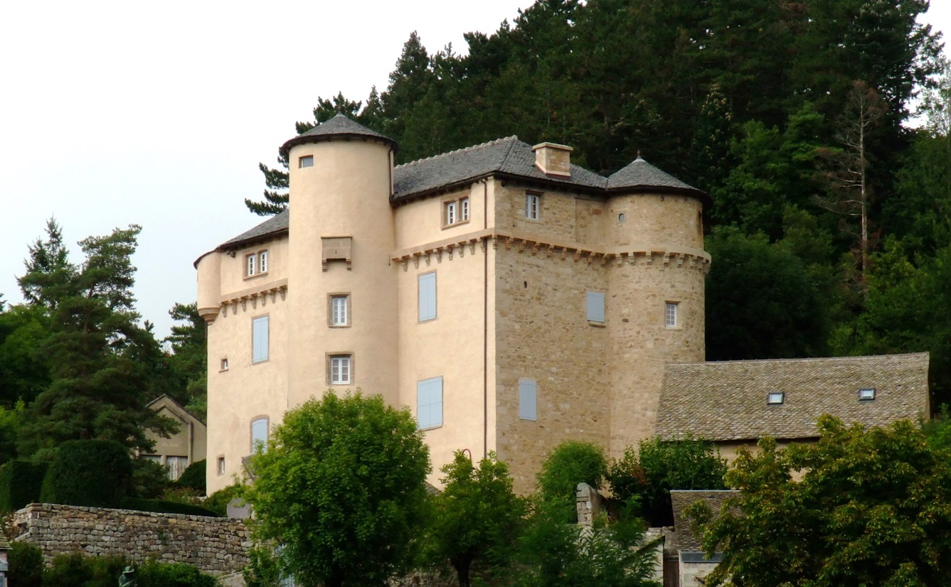 34 château de Saint-Léons.JPG