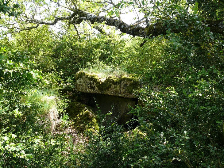 Dolmen de La Valette.JPG