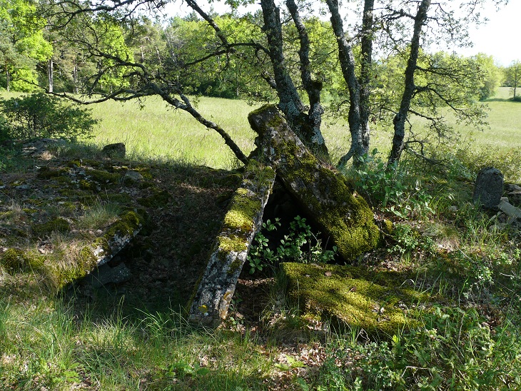 Dolmen du Pous.JPG